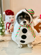 Load image into Gallery viewer, Snowman costume
