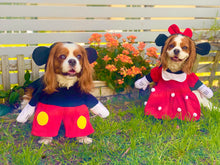 Load image into Gallery viewer, Minnie Dog Costume
