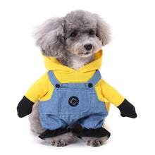 Load image into Gallery viewer, Minion Costume
