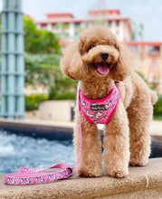 Load image into Gallery viewer, Reversible Leash 30% off – Pink Llama
